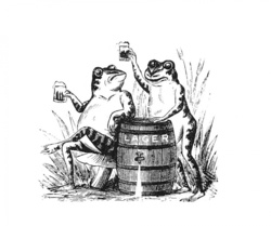 Lager Beer Frogs Public Domain