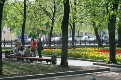 People Under Trees In Park, Moscow