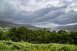 Scottish Landscape