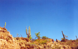 Landscape in the desert of Tatacoa