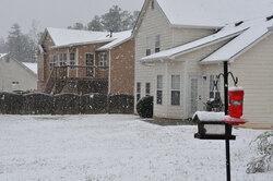 Snowing in my back yard