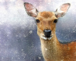 Portrait of a beautiful deer watercolor painting