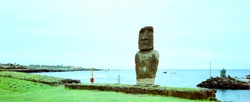 Moai In Rapa Nui Easter Island