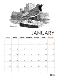 Calendar for January with vintage woodcut of a bird