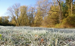 Frost covers the grass in a field early on a fall and winter morning.