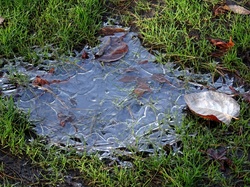 Puddle Turned To Ice