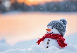 Cute snowman dressed with hat and scarf in snow