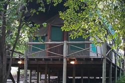 Tented cabin under trees in a camp in Botswana