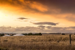 Beautiful sunset over golden paddocks in Australia wheat belt country.