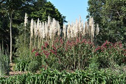 Variety of fauna at Werribee Park, Victoria, Australia