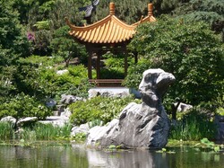 Natural bird shaped rock in Chinese garden in center of Sydney, Australia