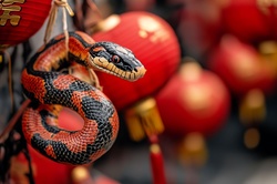 Background image for Chinese New Year, the year of the wood snake.