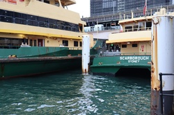 Ferries in Australia , Sydney