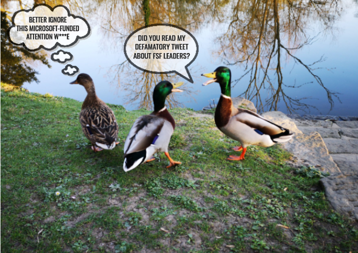 Ducks having an argument: Did you read my defamatory tweet about FSF leaders? Better ignore this Microsoft-funded attention w***e