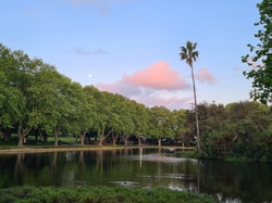 Hyde Park, Perth, Western Australia on a dusk of the harvest moon, full moon, 01 October 2020