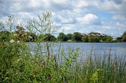 Community overlooking lake