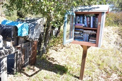 Community reading library