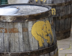 Elephant log on wooden barrels that hold kegs of beer in Belgium