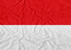 Indonesia Flag Vector Illustration