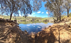 Swan Valley, Western Australia 7 November 2020