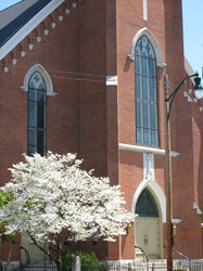 A beautiful flowering bush in front of a church downtown Cleveland