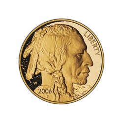 American buffalo gold proof coin 2006