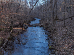 Stillhouse Hollow Falls State Nature Area is located along HW 43 south of Mount Pleasant, TN