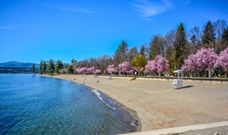 Lakeshore and Beach in Spring