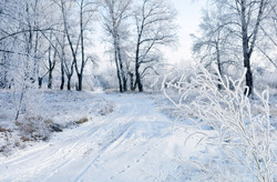 Winter landscape covered in snow.