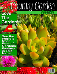 Fake magazine cover I designed using some of my flower images