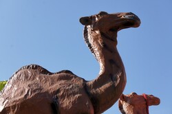 Camel - Carnival