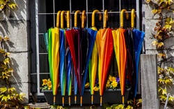 Colorful Umbrellas In Belgium
