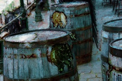 Beer Barrels In Belgium
