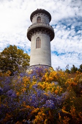 Washington Tower in Mount Auburn Cemetery in fall, Boston