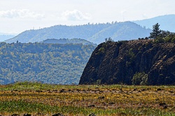 Artistic image of field of wildflowers top of a mesa with view of a second visa close by