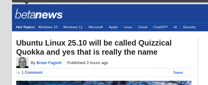 Ubuntu Linux 25.10 will be called Quizzical Quokka and yes that is really the name