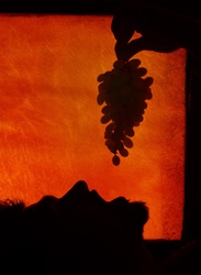 Greedy For Grapes