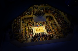 Lego Sumo