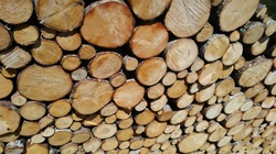 Cordes firewood