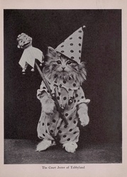 Vintage black and white photo of a kitten, cat dressed in human situation, dressed as a court jester