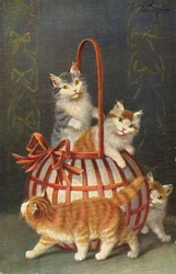 Kittens in a Basket Sophie Sperlich Year ca 1905 Public Domain