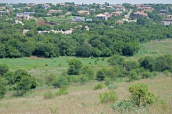 Suburbia Meeting Nature