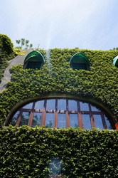 Window shaped like a Totoro face from the Ghibli Museum in Tokyo, Japan.