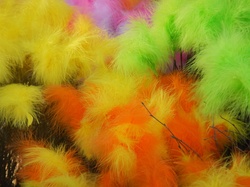 Colorful Easter Feathers