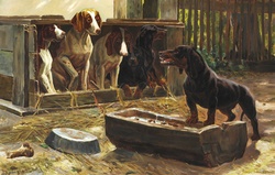 Dachshund Dog Vintage Art: Vintage antique art painting of a dachshund dog snarling at four hounds, poster, print, wall art, card, postcard