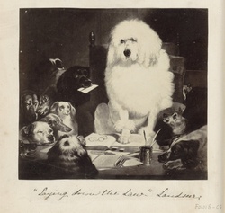 Laying down the Law dog dogs Edwin Henry Landseer Sir, c. 1860 - c. 1870 public domain