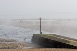 Misty beach scene with people and dogs