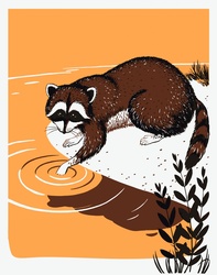 Vector illustration of a very cute raccoon dipping its paw into a pond