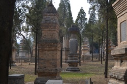 Shaolin Temple Pagoda Forest