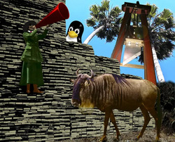 GNU Linux
